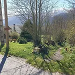 Maison De Montagne Au Calme Avec Cheminée Poubeau
